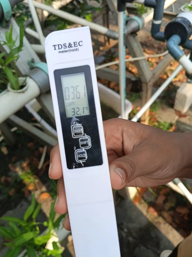 Lahan Urban Farming SMKN 59 Jakarta - Gambar 76