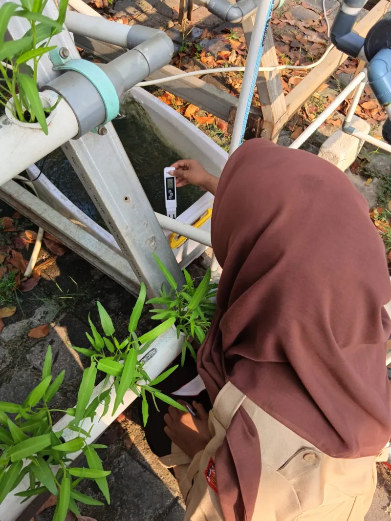 Lahan Urban Farming SMKN 59 Jakarta - Gambar 75