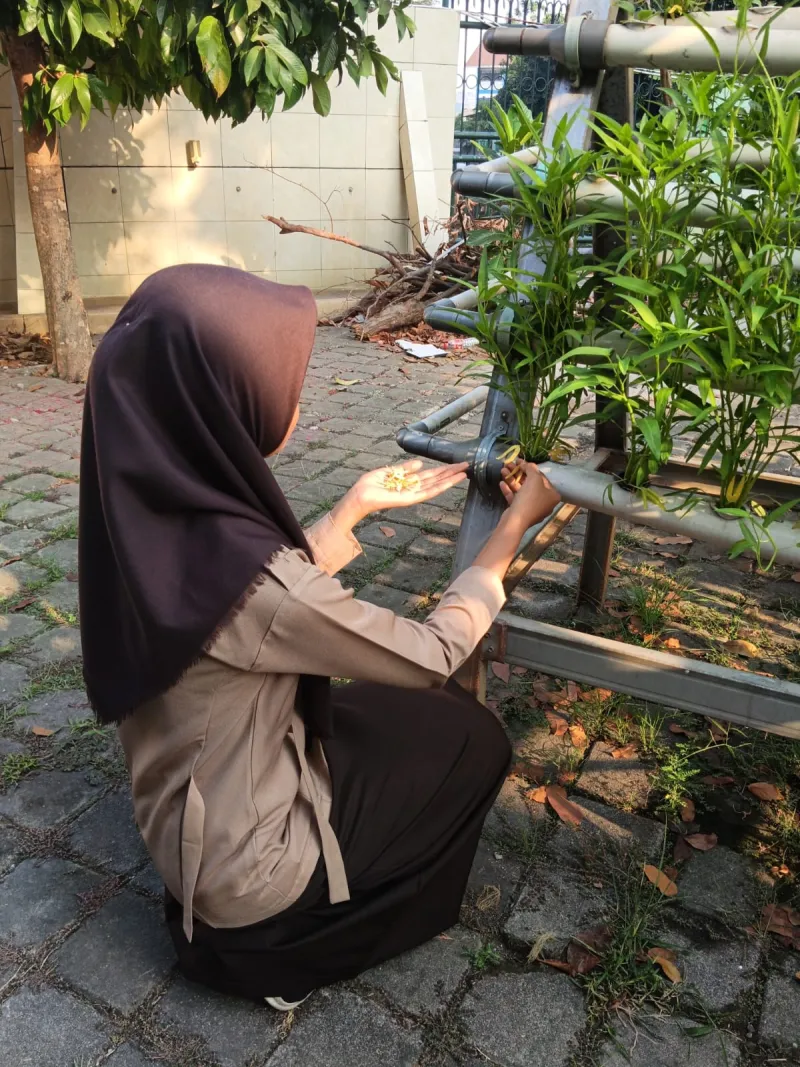 Lahan Urban Farming SMKN 59 Jakarta - Gambar 71