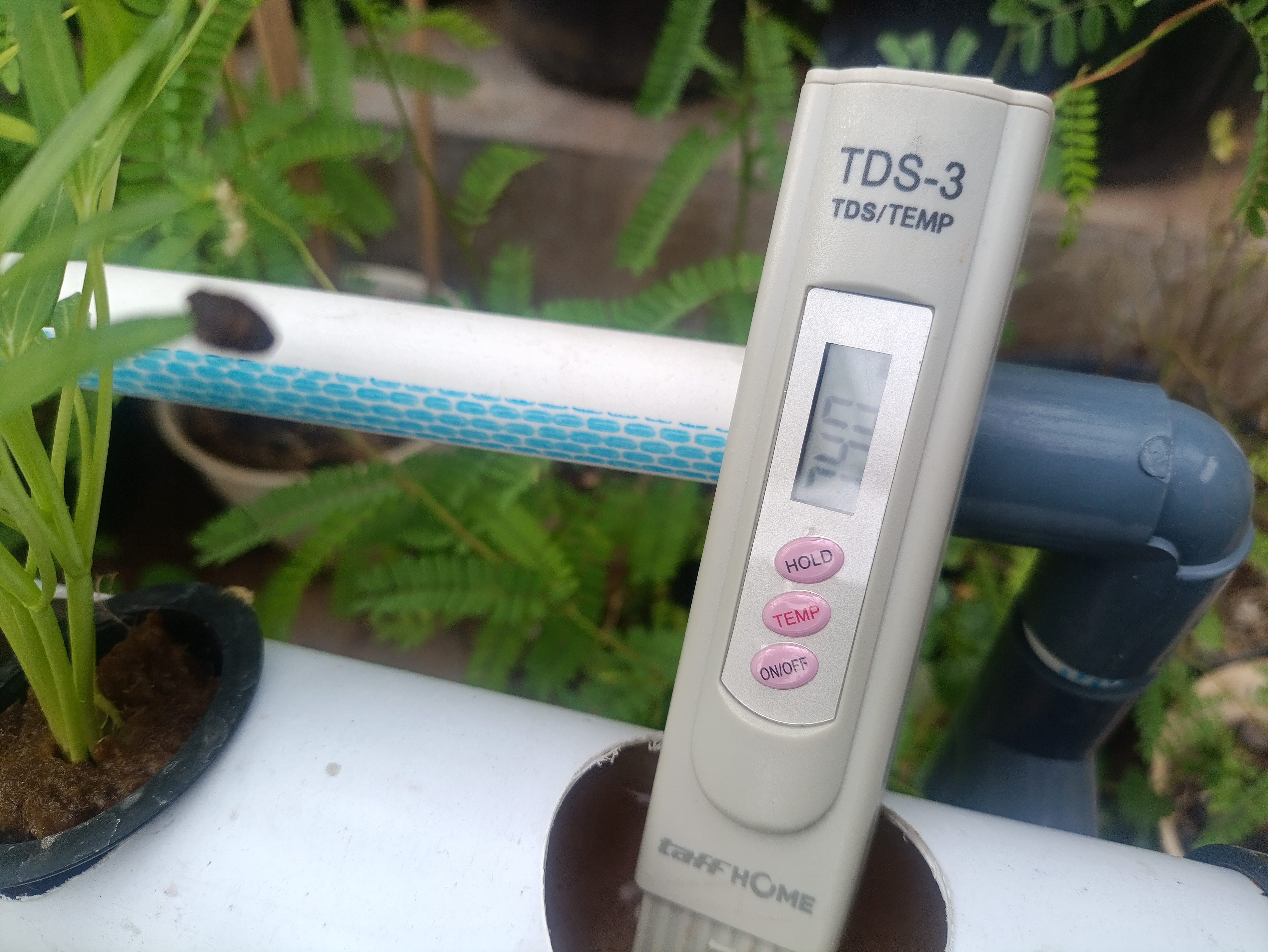 Lahan Urban Farming SMAN 63 Jakarta - Gambar 22