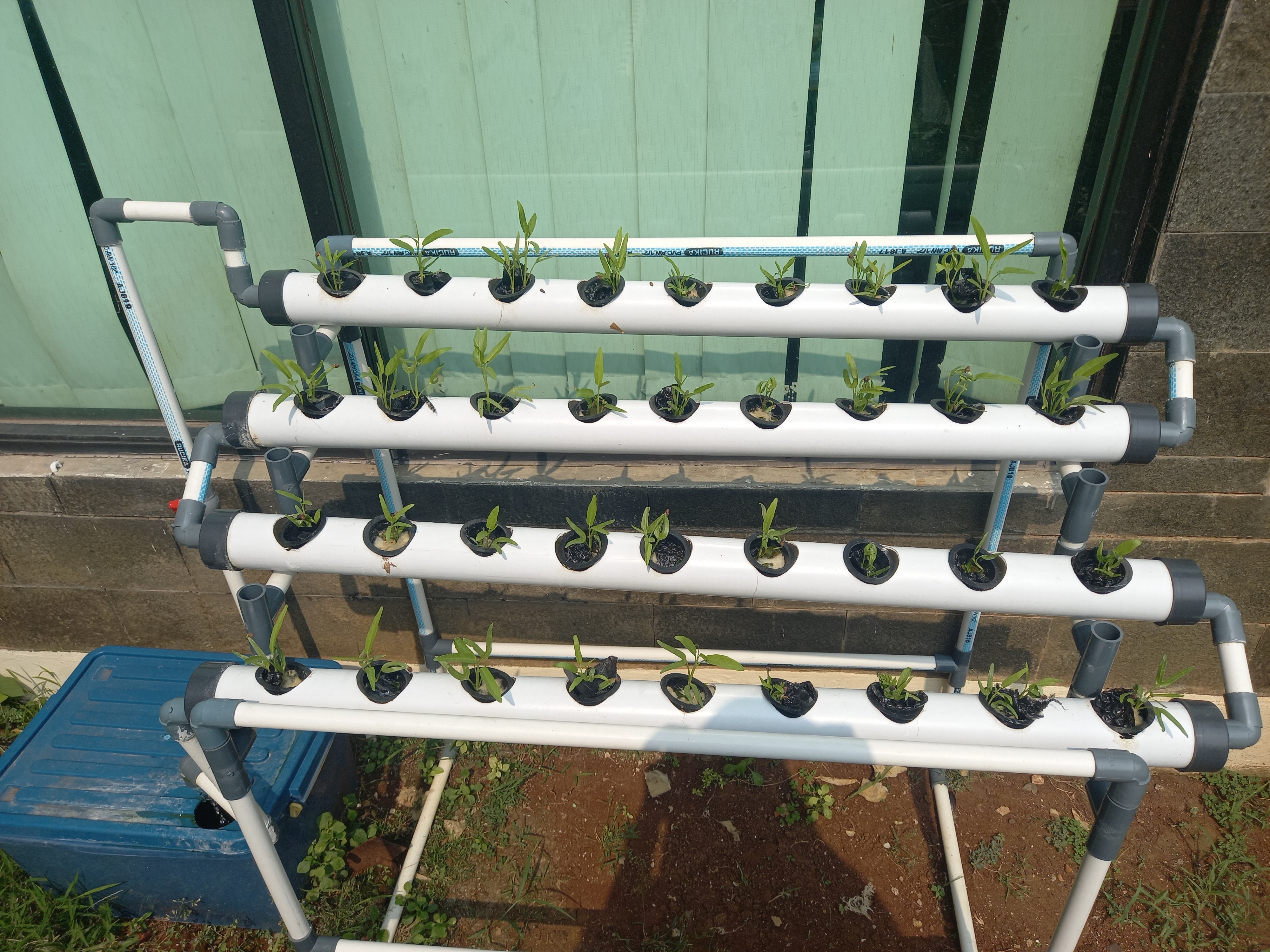 Lahan Urban Farming SMKN 62 Jakarta - Gambar 28