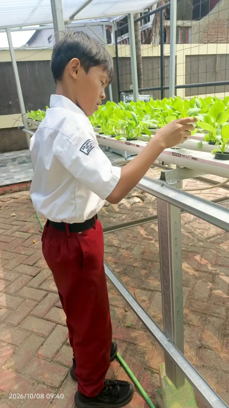 Lahan Urban Farming SDN Lenteng Agung 07 Jakarta - Gambar 22