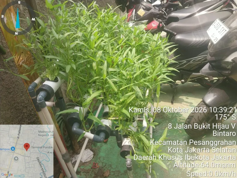 Lahan Urban Farming SDN Bintaro 09 - Gambar 40