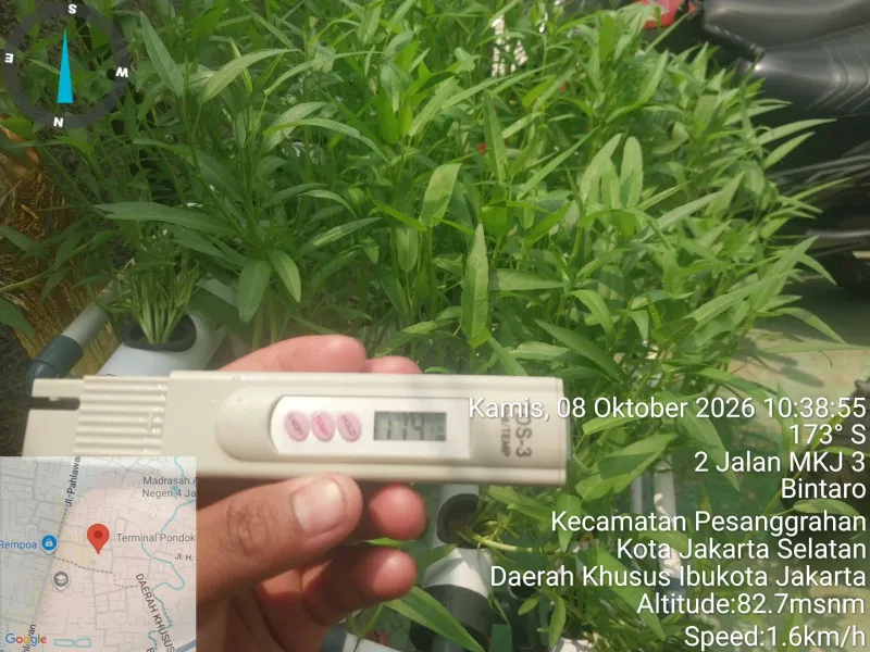 Lahan Urban Farming SDN Bintaro 09 - Gambar 42