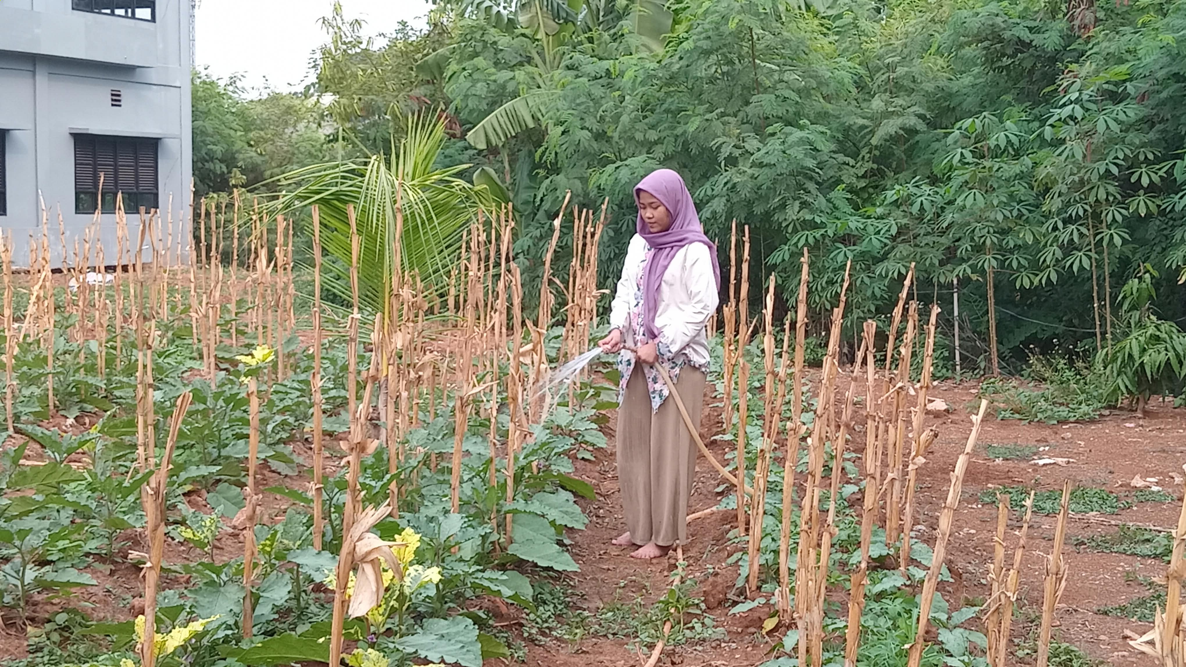 KEBUN SMKN 74 JAGAKARSA JAKARTA SELATAN - Gambar 83