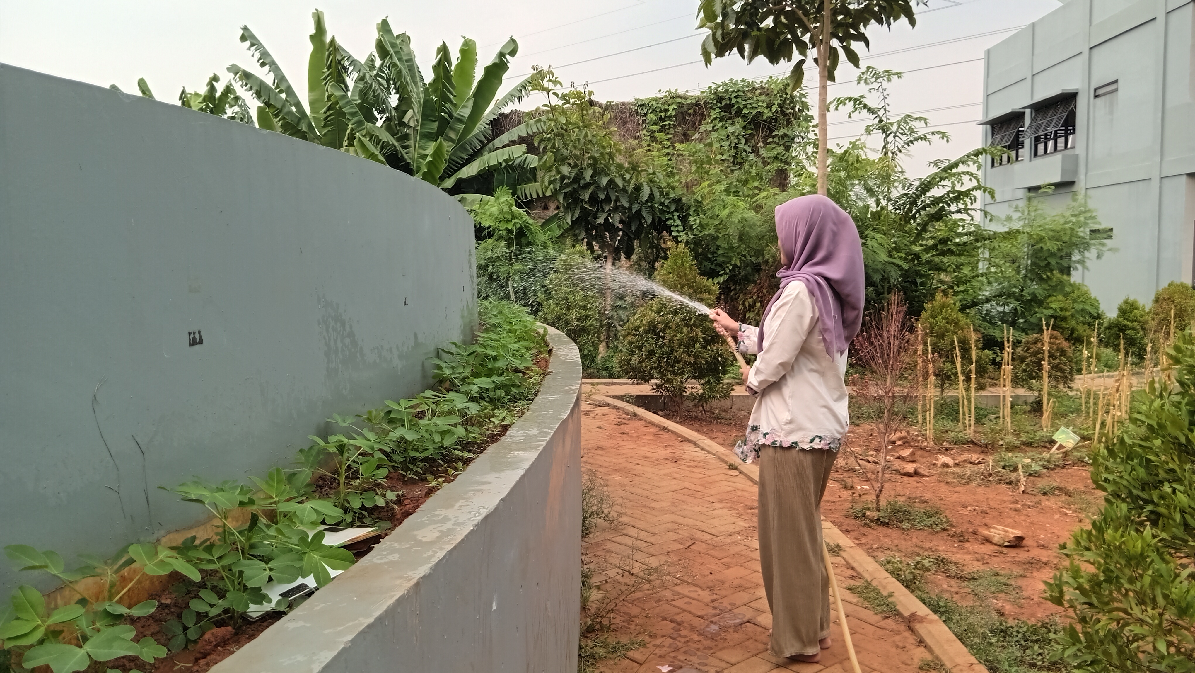 KEBUN SMKN 74 JAGAKARSA JAKARTA SELATAN - Gambar 82