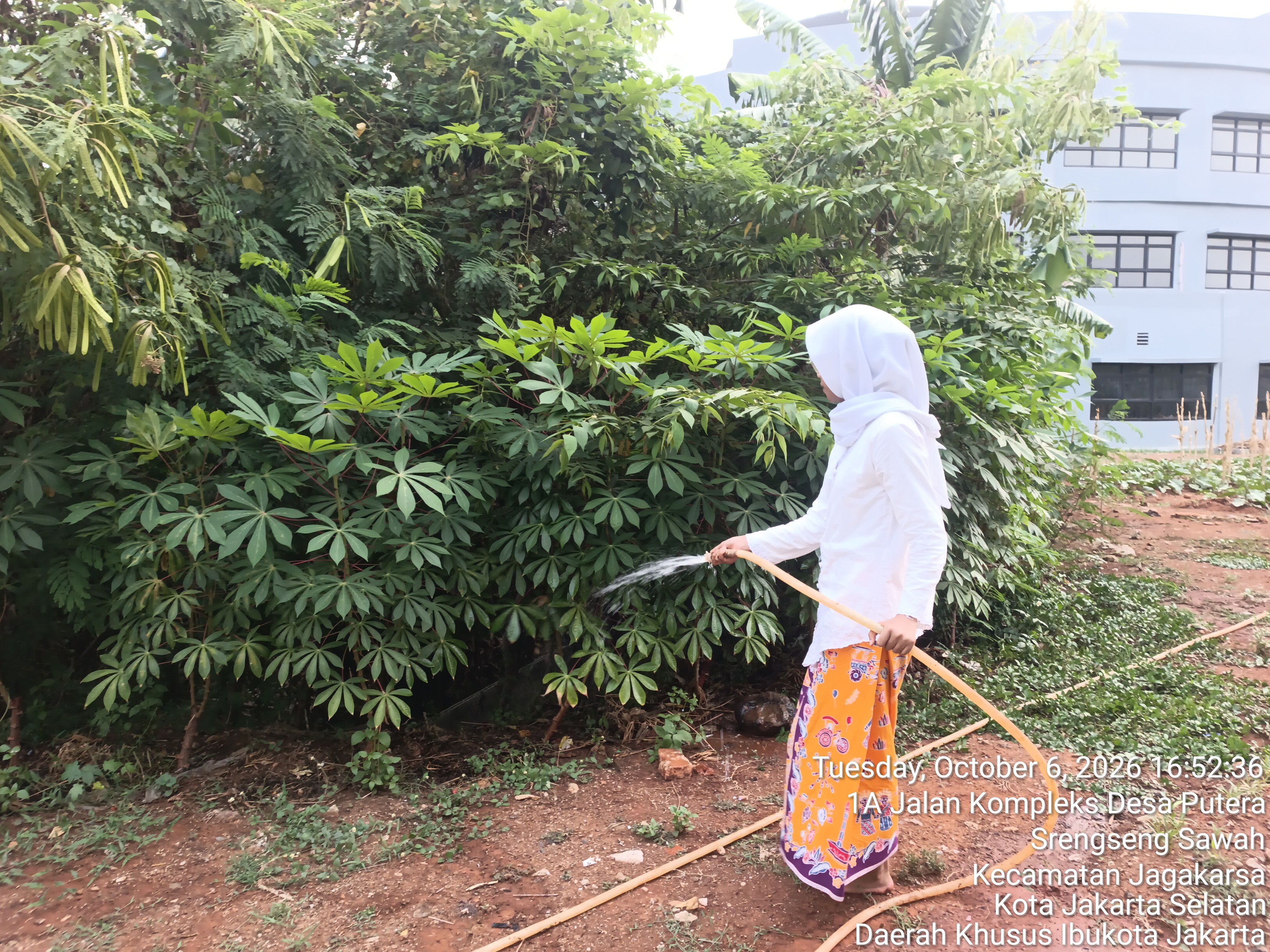 KEBUN SMKN 74 JAGAKARSA JAKARTA SELATAN - Gambar 81