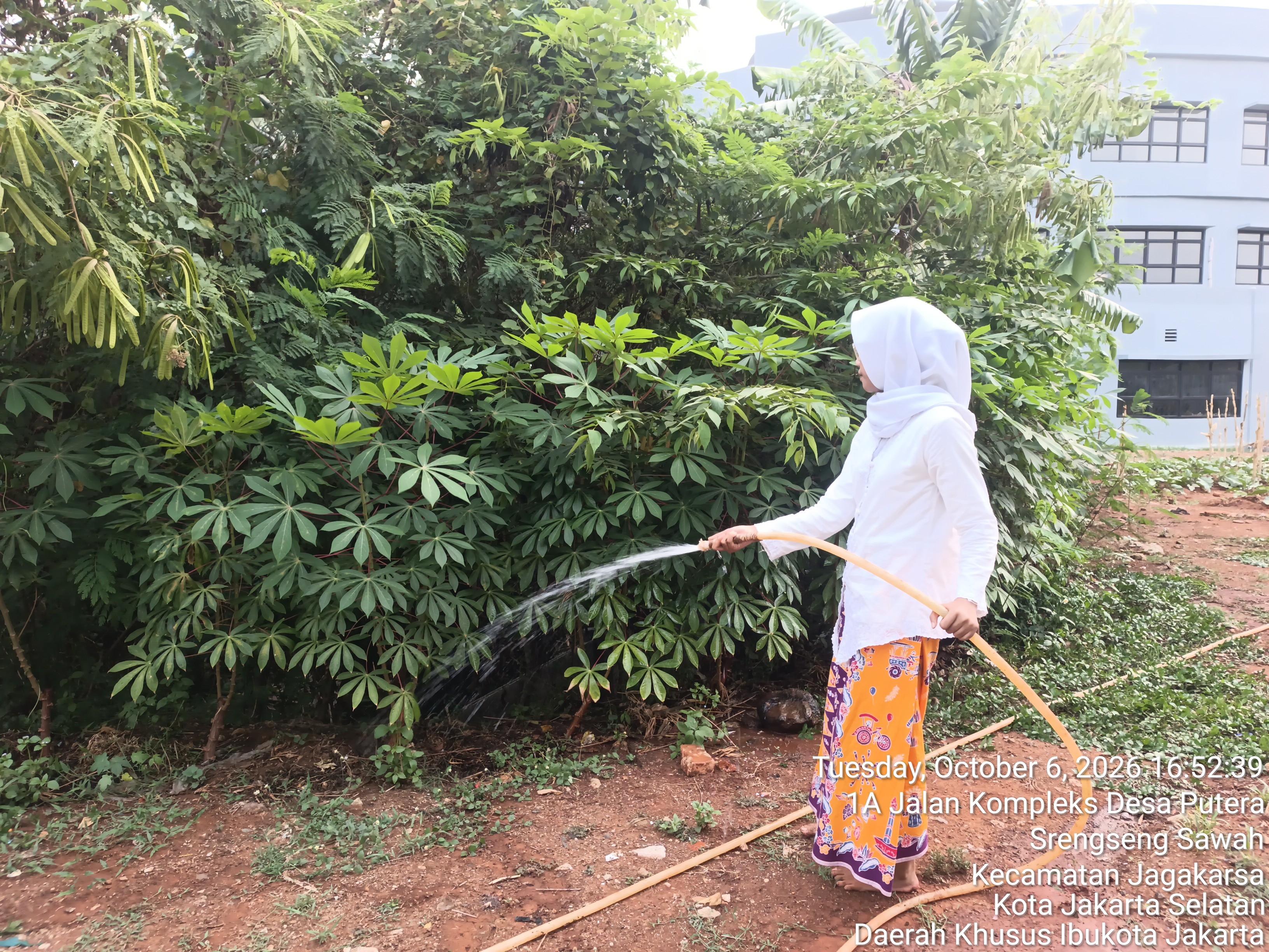 KEBUN SMKN 74 JAGAKARSA JAKARTA SELATAN - Gambar 80