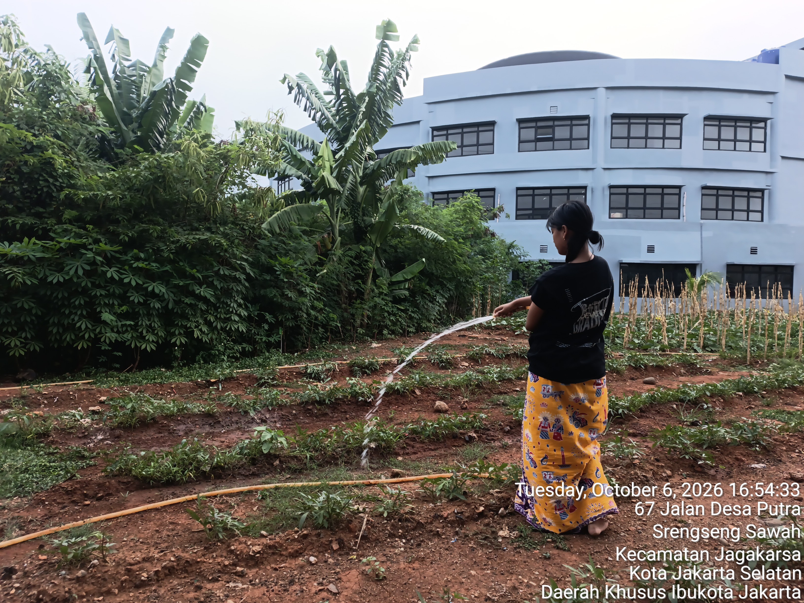 KEBUN SMKN 74 JAGAKARSA JAKARTA SELATAN - Gambar 78
