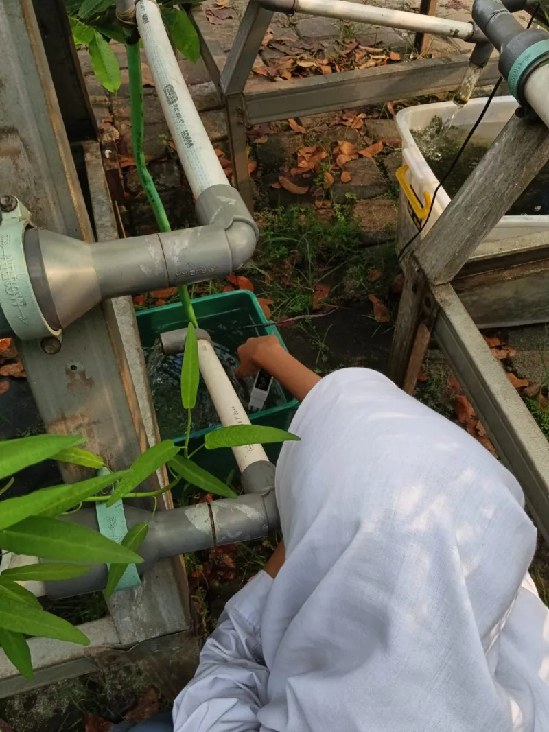 Lahan Urban Farming SMKN 59 Jakarta - Gambar 67