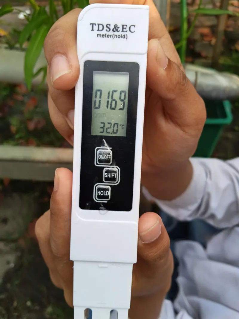 Lahan Urban Farming SMKN 59 Jakarta - Gambar 65