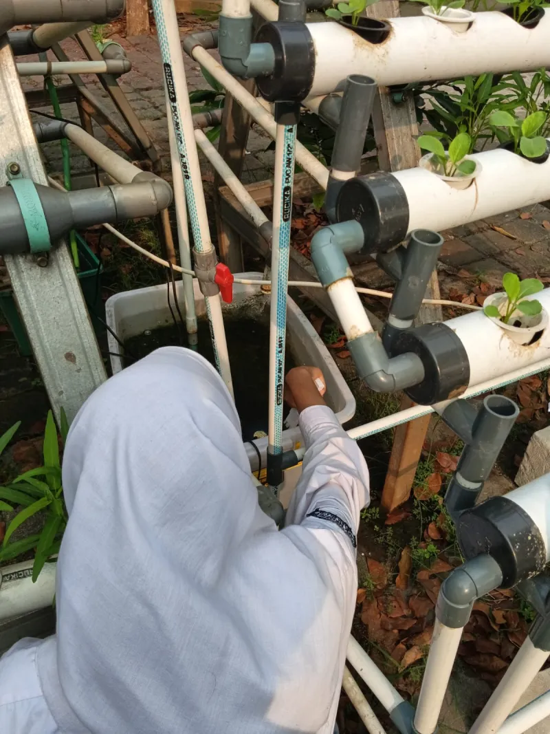 Lahan Urban Farming SMKN 59 Jakarta - Gambar 68