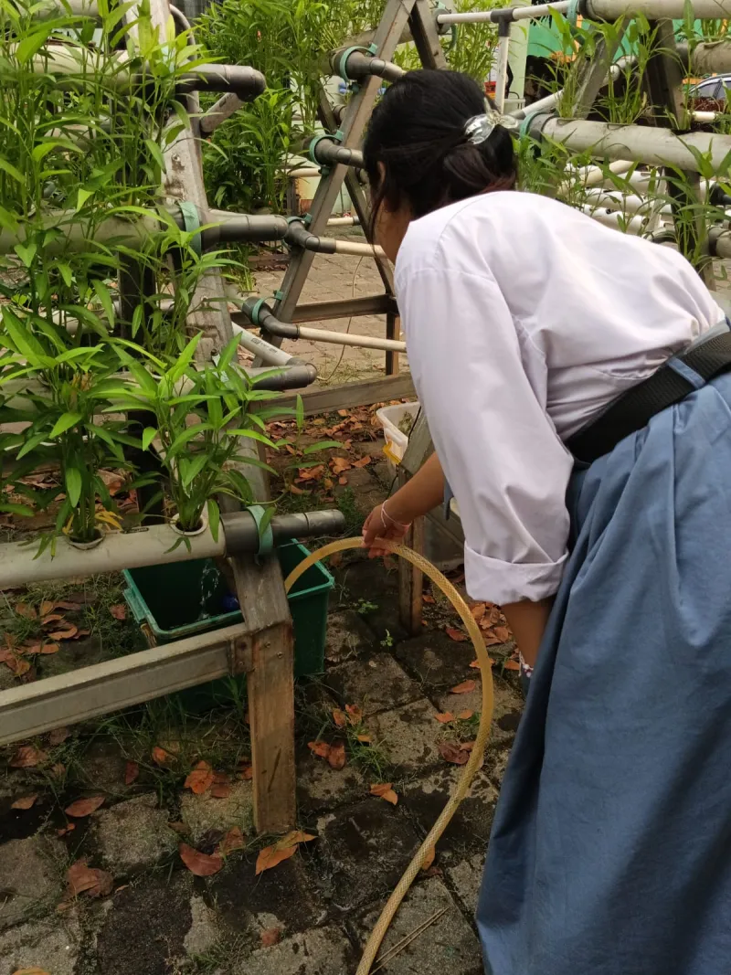 Lahan Urban Farming SMKN 59 Jakarta - Gambar 63