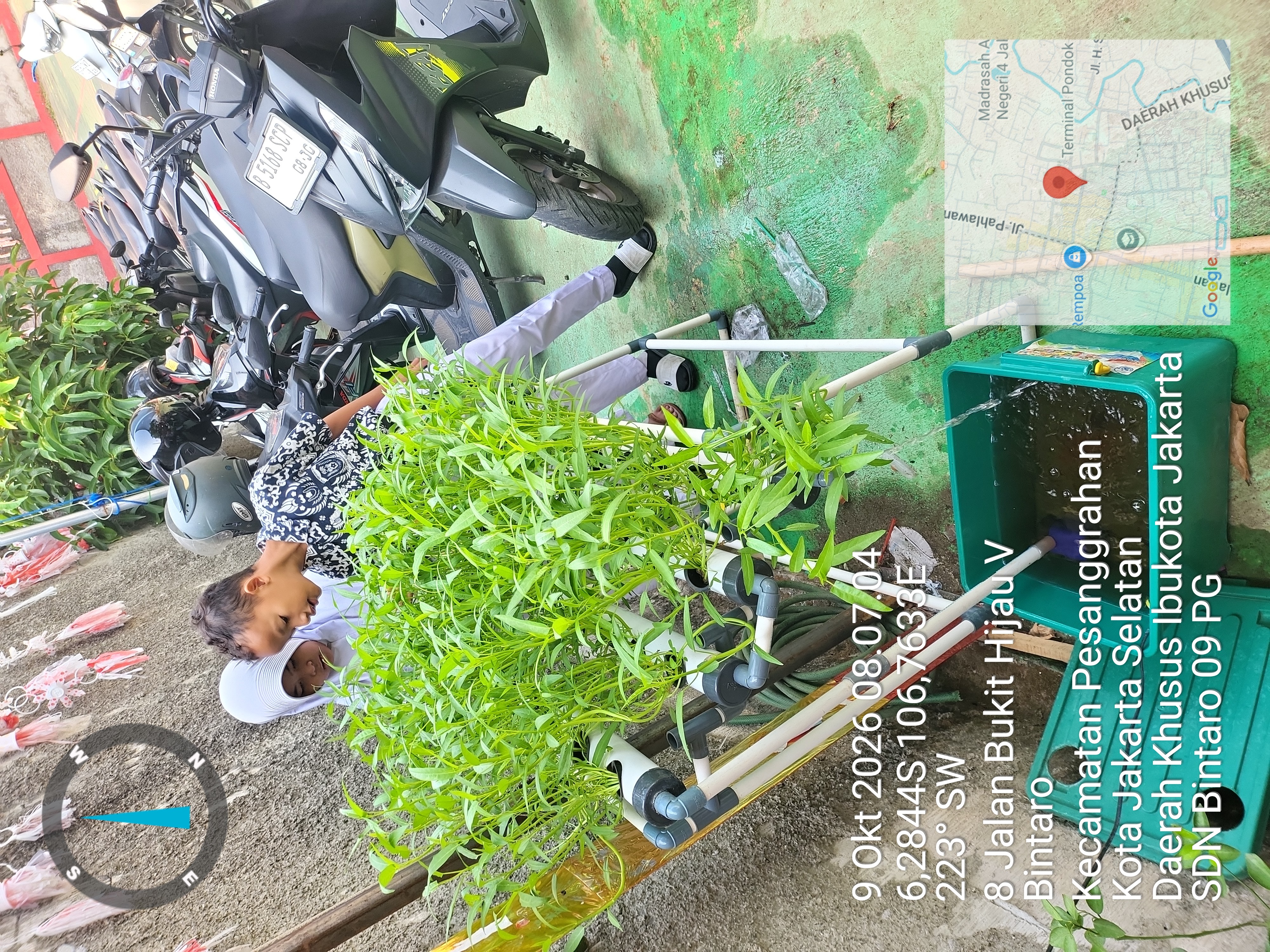 Lahan Urban Farming SDN Bintaro 09 - Gambar 36