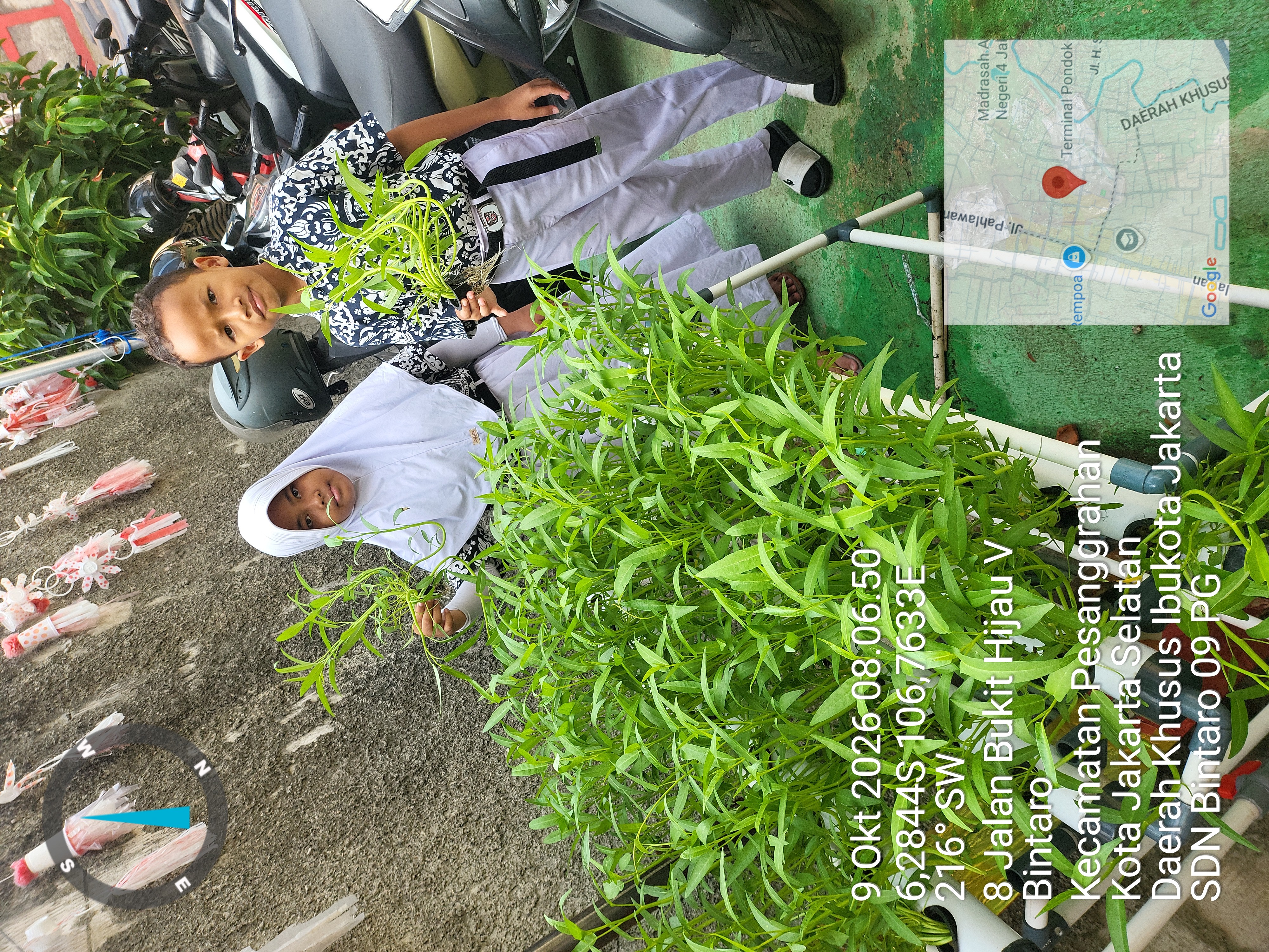 Lahan Urban Farming SDN Bintaro 09 - Gambar 35