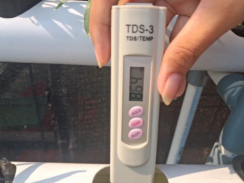 Lahan Urban Farming SMAN 109 Jakarta - Gambar 65
