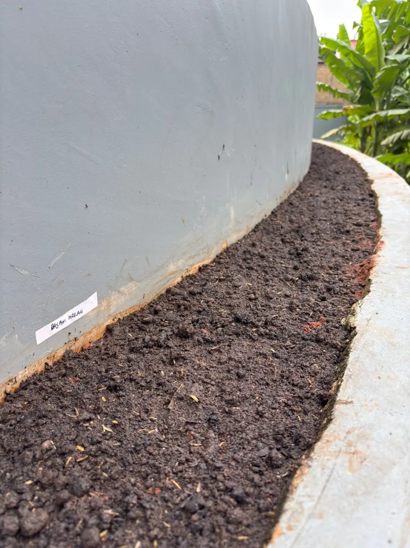 KEBUN SMKN 74 JAGAKARSA JAKARTA SELATAN - Gambar 629
