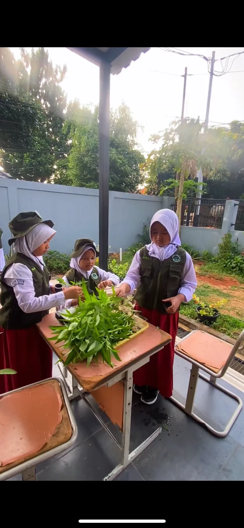 Lahan Urban Farming SDN Cipete Selatan 03 - Gambar 21