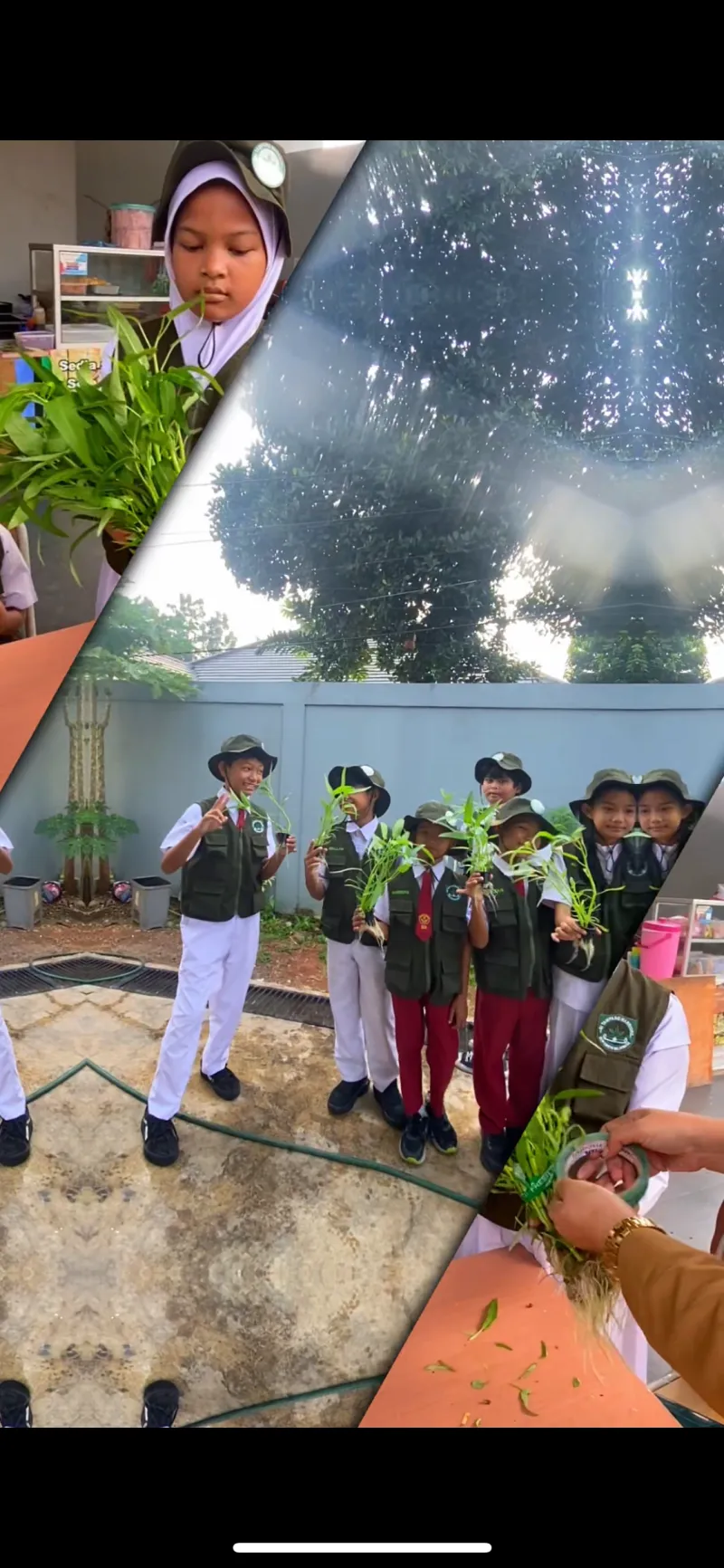 Lahan Urban Farming SDN Cipete Selatan 03 - Gambar 18