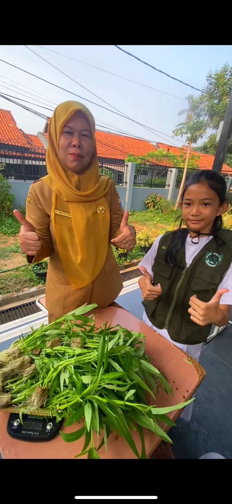 Lahan Urban Farming SDN Cipete Selatan 03 - Gambar 19