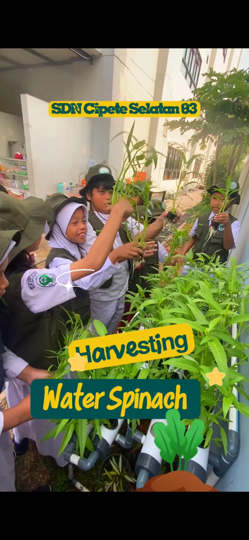 Lahan Urban Farming SDN Cipete Selatan 03 - Gambar 20