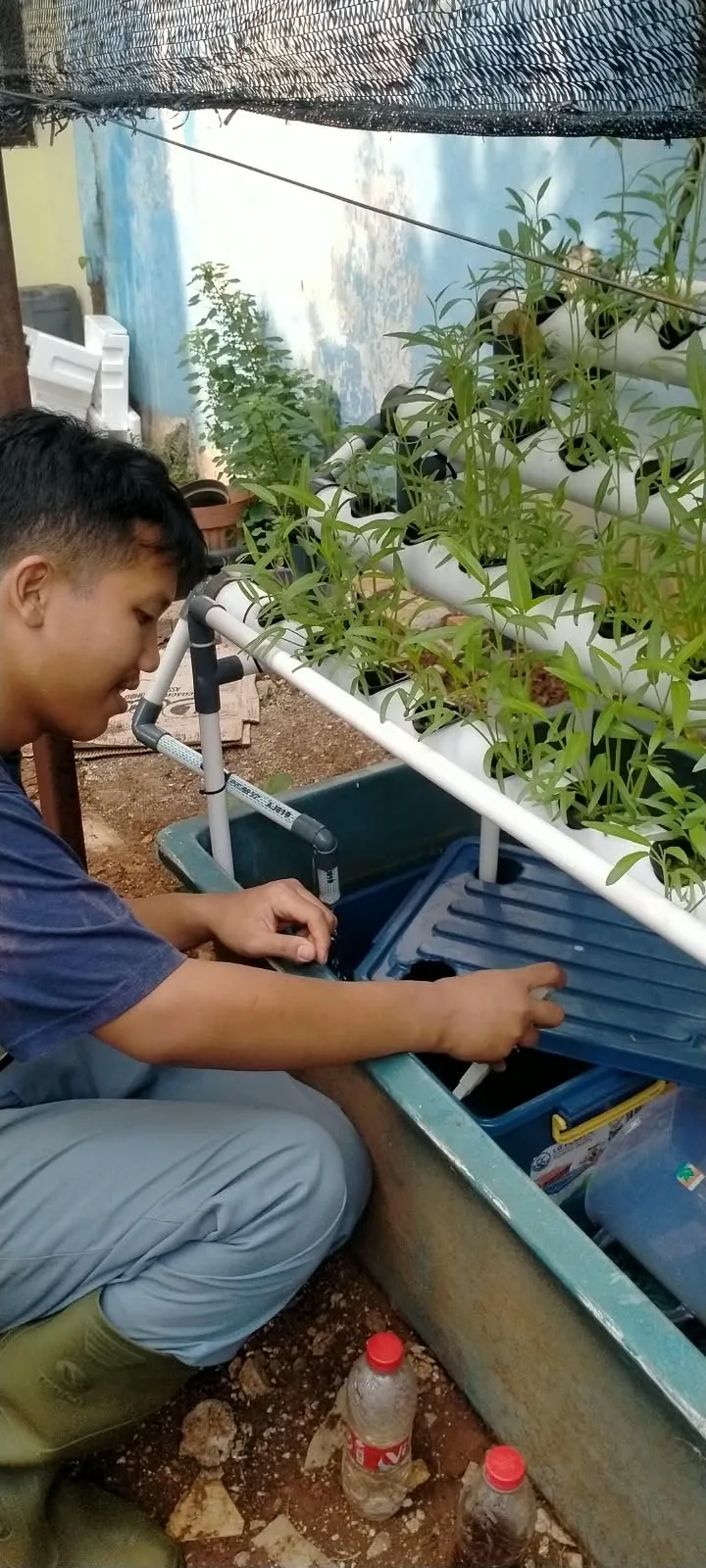 Lahan Urban Farming SLBN 01 Lebak Bulus - Gambar 20