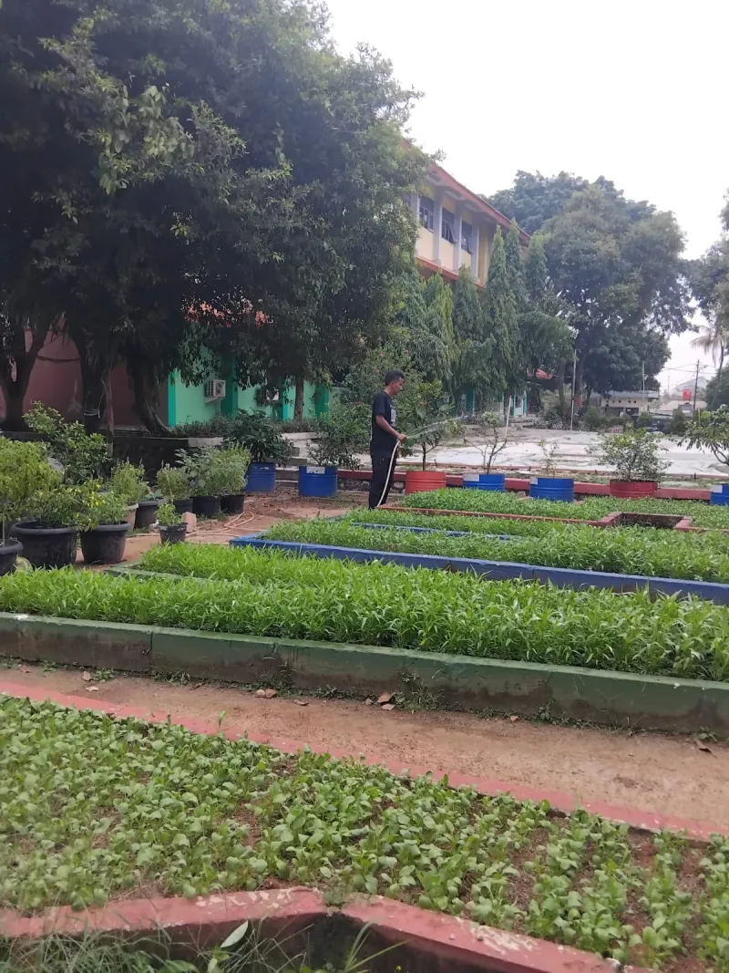 Lahan Urban Farming SMAN 109 Jakarta - Gambar 61