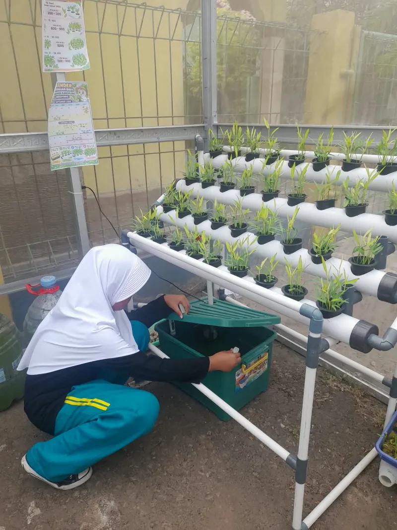 Lahan Urban Farming SDN Cipulir 03 - Gambar 24