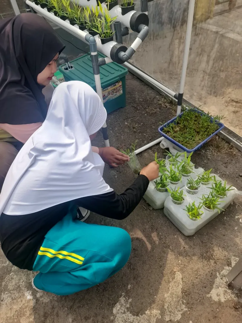 Lahan Urban Farming SDN Cipulir 03 - Gambar 26