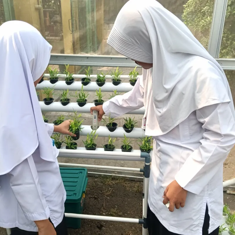 Lahan Urban Farming SDN Cipulir 03 - Gambar 25