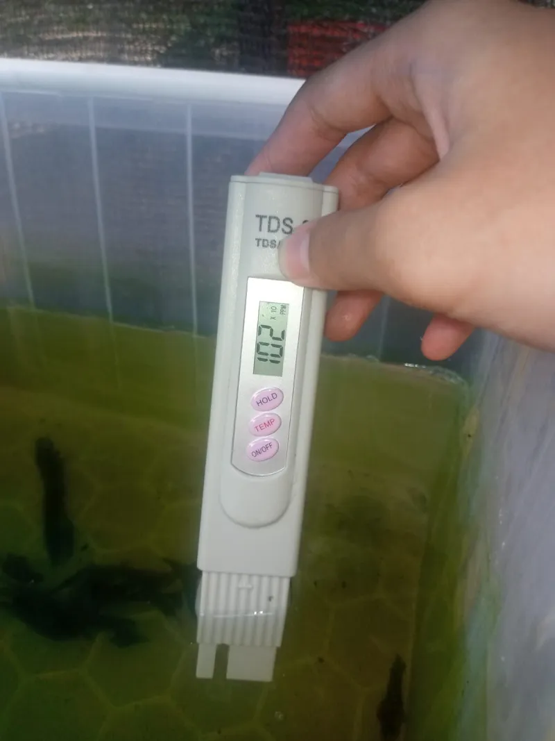 Lahan Urban Farming SMAN 109 Jakarta - Gambar 59