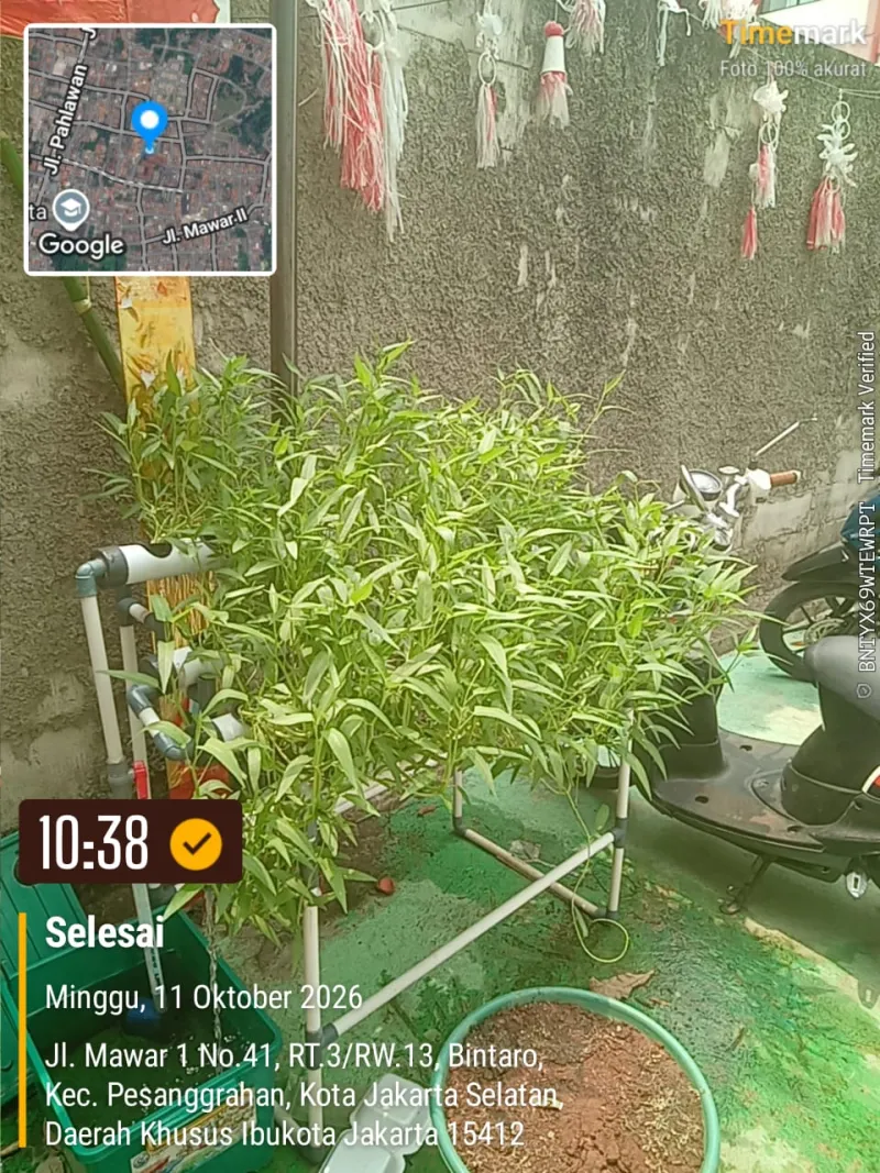 Lahan Urban Farming SDN Bintaro 09 - Gambar 28