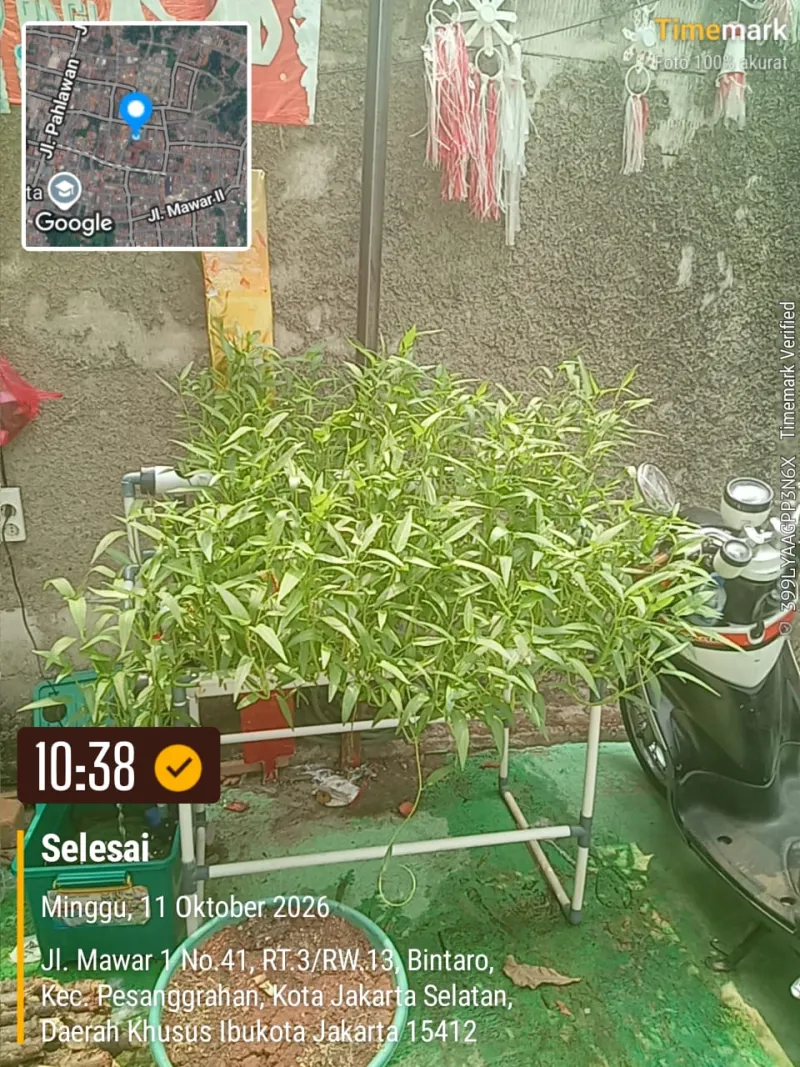 Lahan Urban Farming SDN Bintaro 09 - Gambar 30