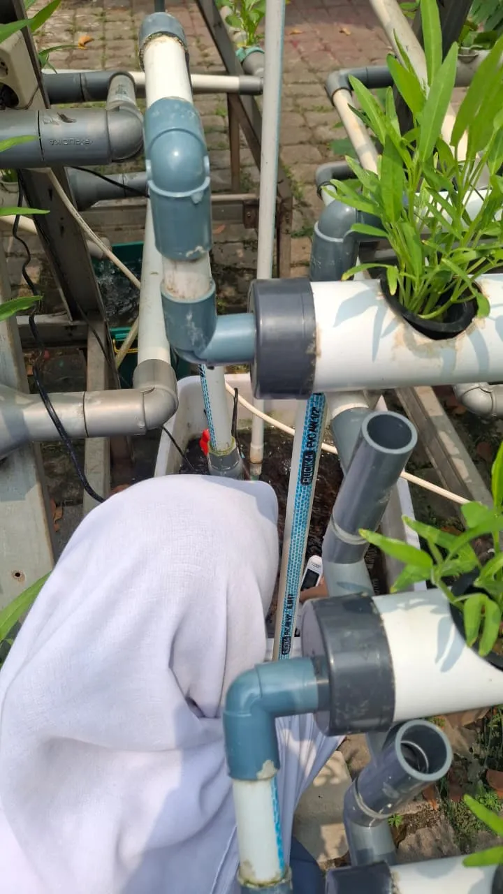 Lahan Urban Farming SMKN 59 Jakarta - Gambar 60