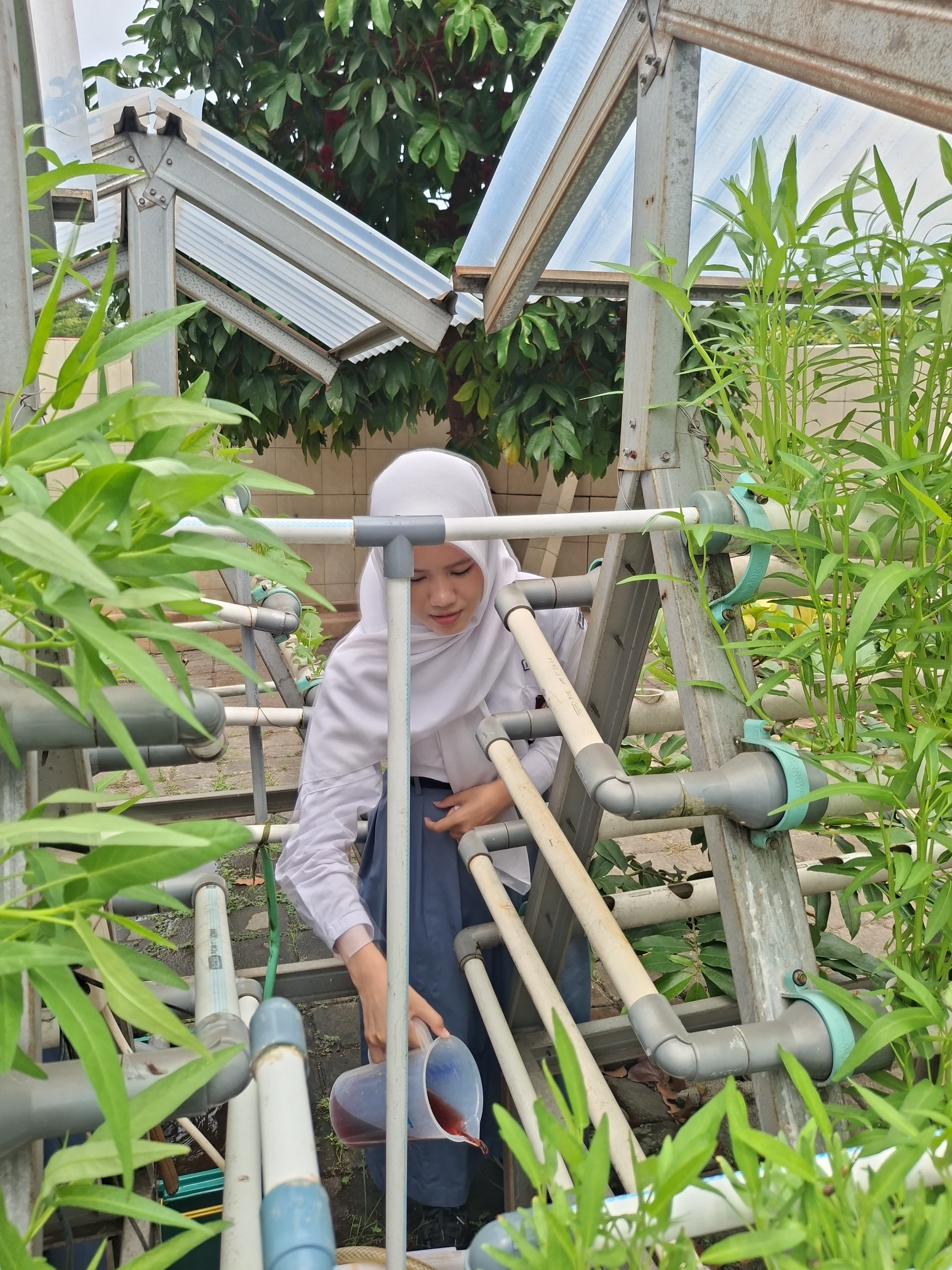 Lahan Urban Farming SMKN 59 Jakarta - Gambar 55