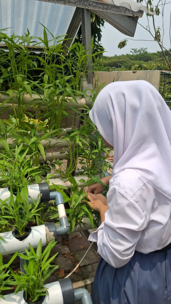 Lahan Urban Farming SMKN 59 Jakarta - Gambar 52