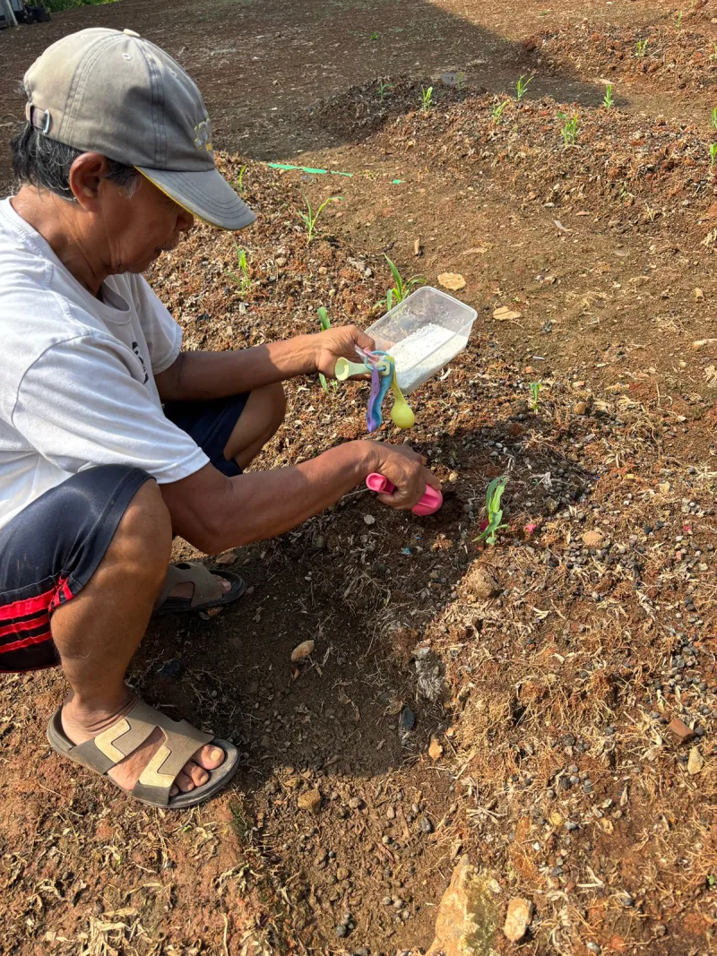 KEBUN SMKN 74 JAGAKARSA JAKARTA SELATAN - Gambar 625