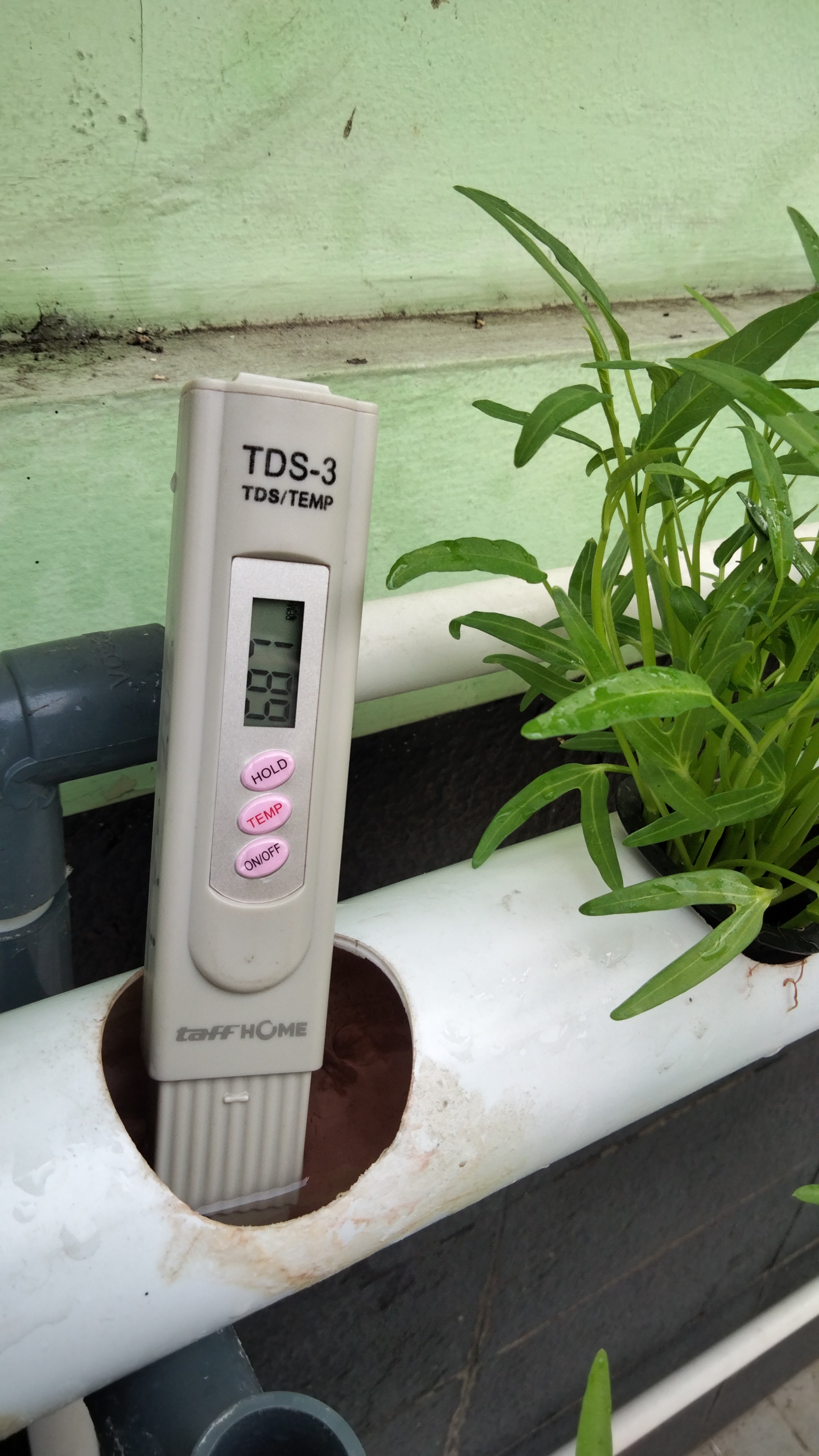 Lahan Urban Farming SMKN 20 Jakarta - Gambar 29