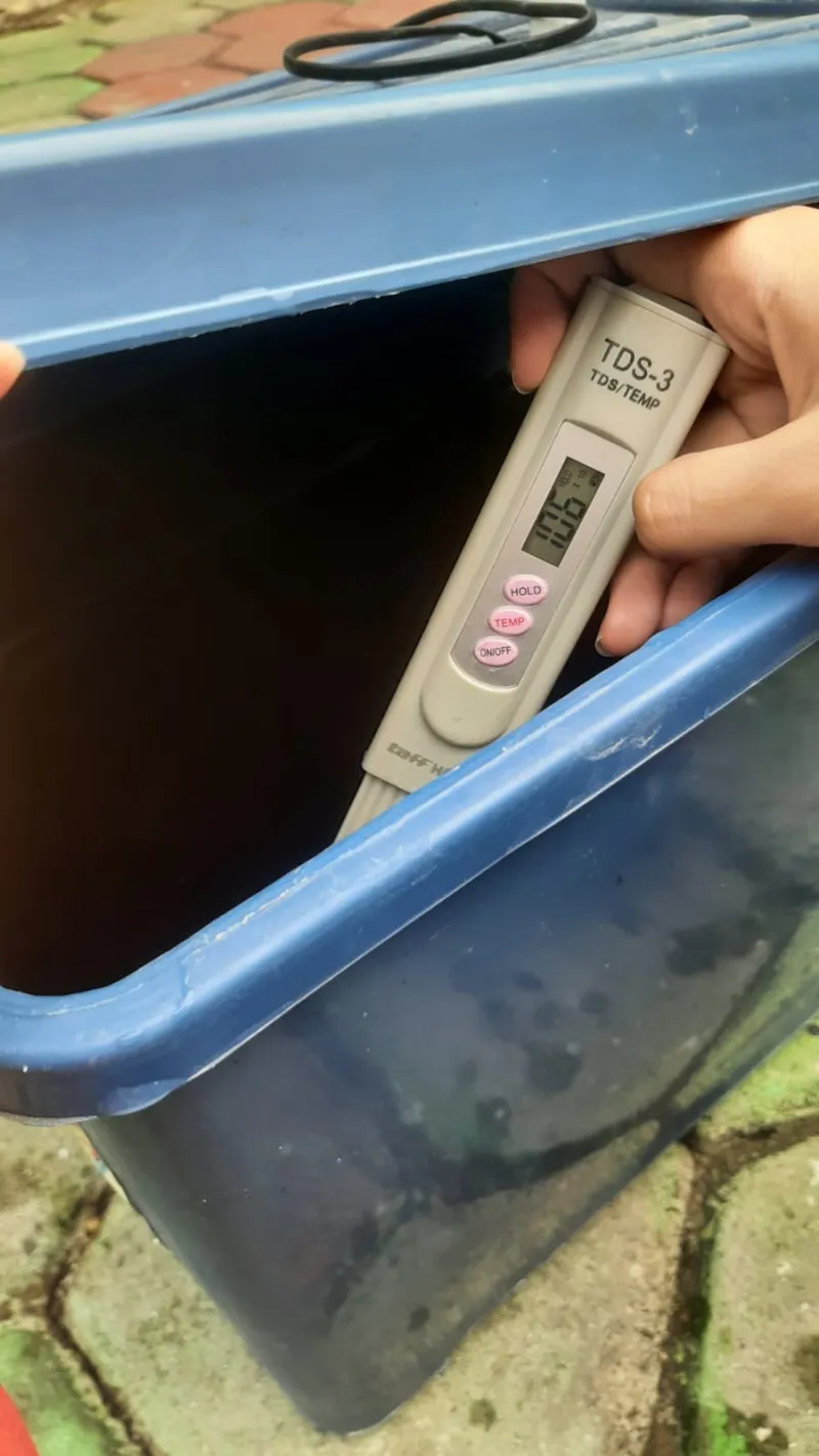 Lahan Urban Farming SMKN 20 Jakarta - Gambar 27