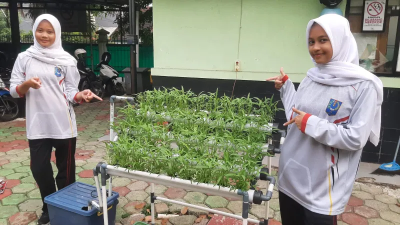 Lahan Urban Farming SMKN 20 Jakarta - Gambar 28