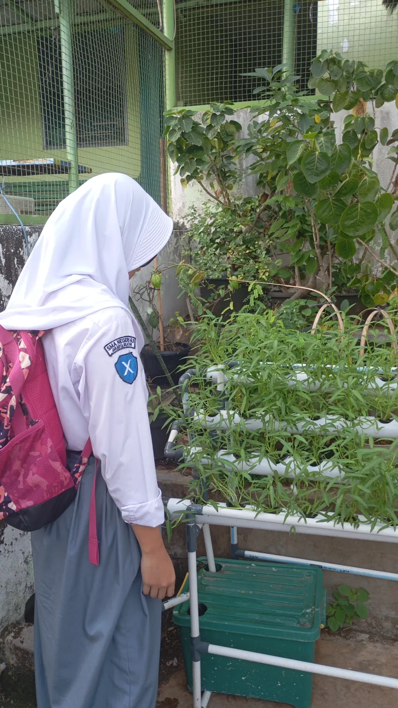 Lahan Urban Farming SMAN 63 Jakarta - Gambar 15