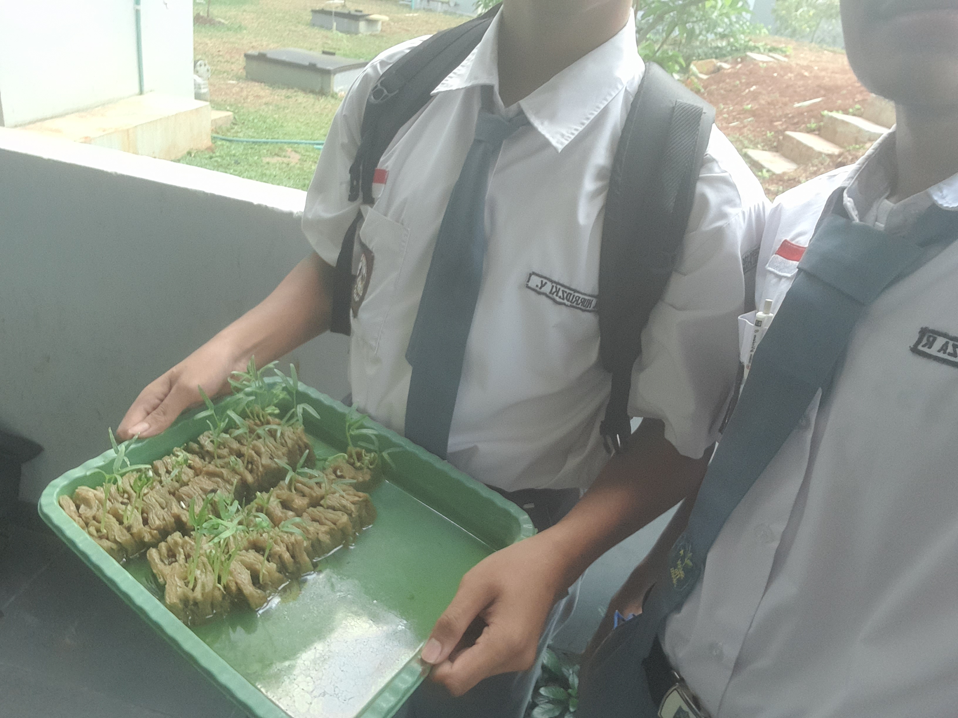 Lahan Urban Farming SMAN 116 Jakarta - Gambar 40