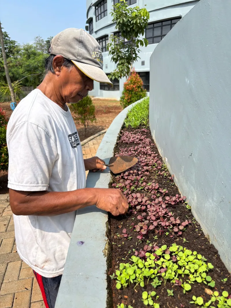 KEBUN SMKN 74 JAGAKARSA JAKARTA SELATAN - Gambar 622