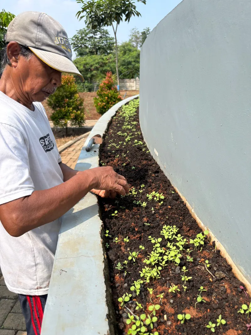 KEBUN SMKN 74 JAGAKARSA JAKARTA SELATAN - Gambar 623