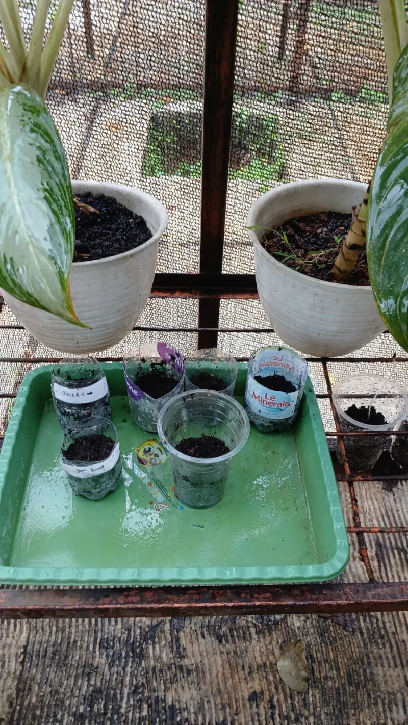 Lahan Urban Farming SMAN 109 Jakarta - Gambar 51