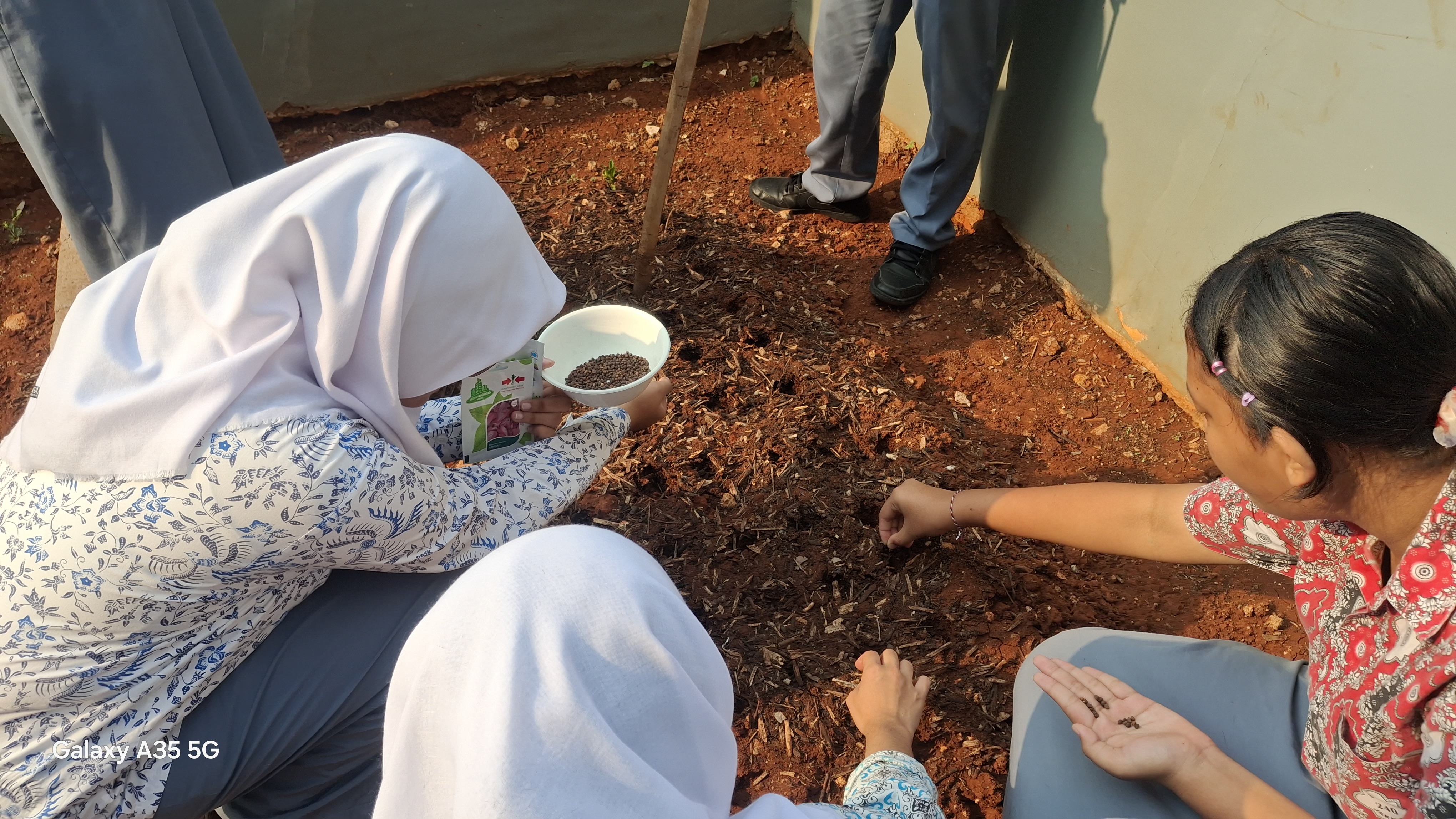 Lahan Urban Farming SMAN 116 Jakarta - Gambar 37