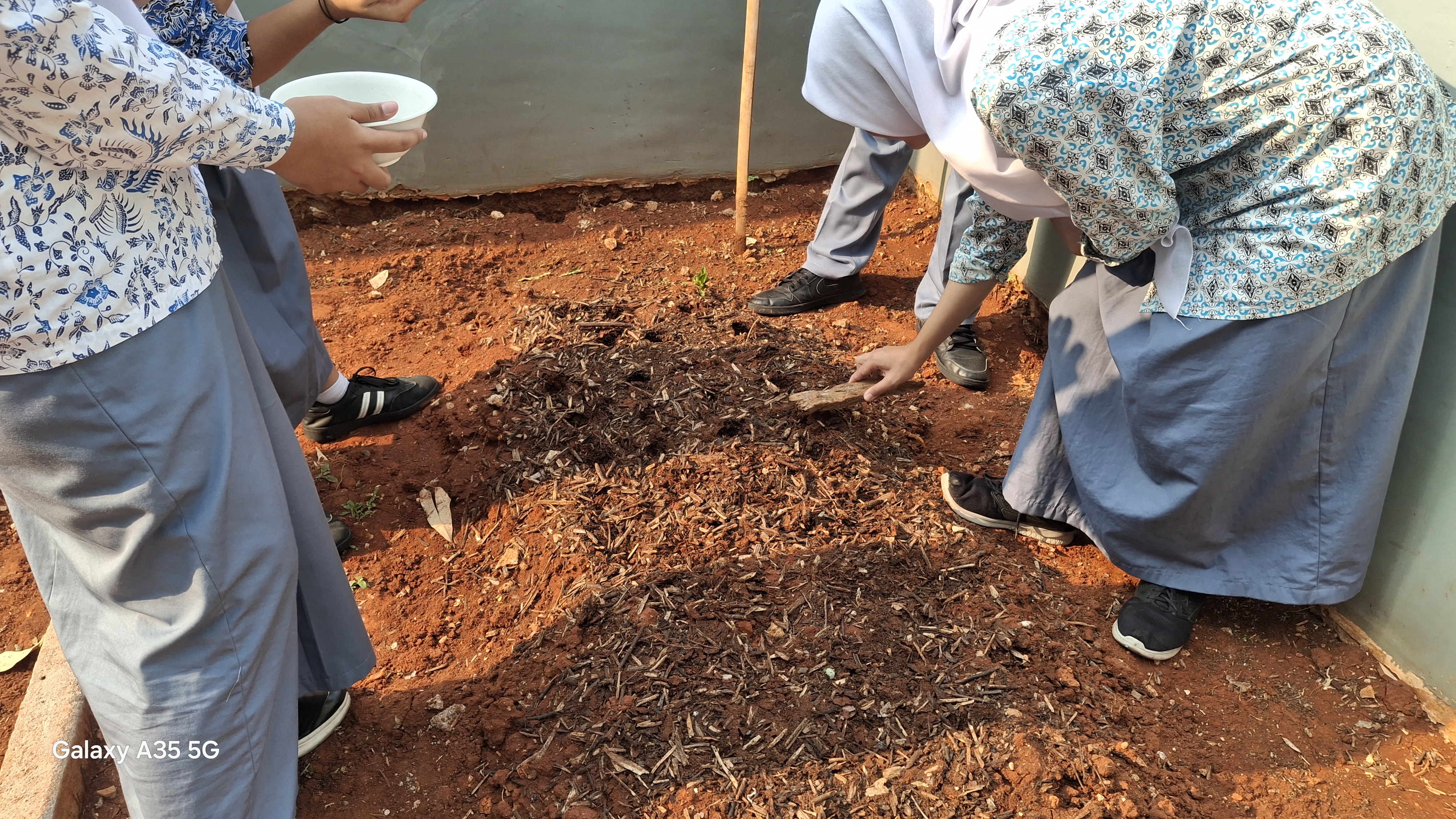 Lahan Urban Farming SMAN 116 Jakarta - Gambar 38