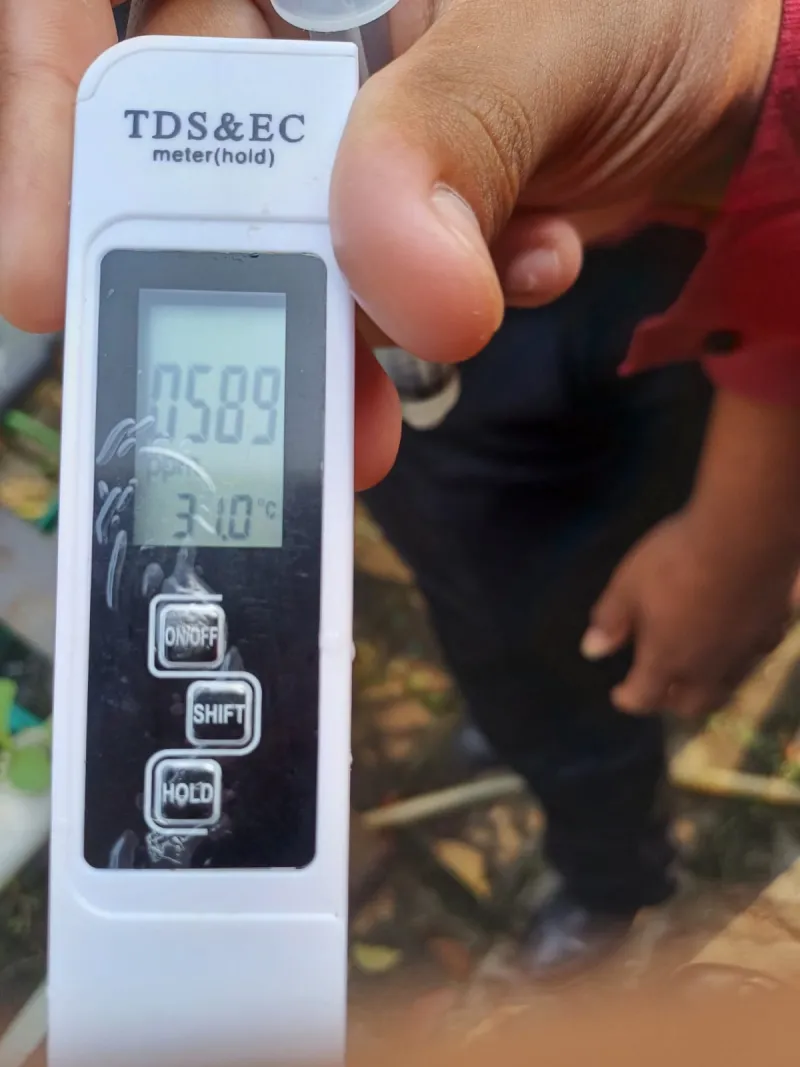 Lahan Urban Farming SMKN 59 Jakarta - Gambar 49
