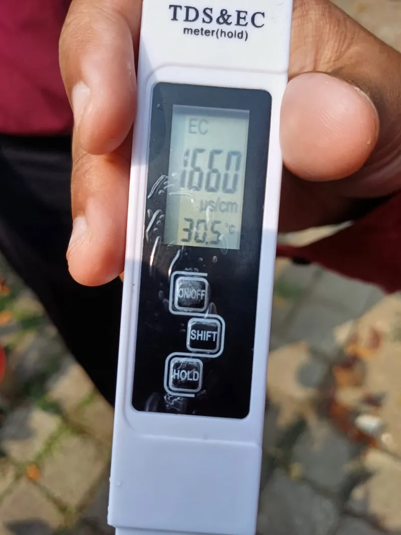 Lahan Urban Farming SMKN 59 Jakarta - Gambar 46