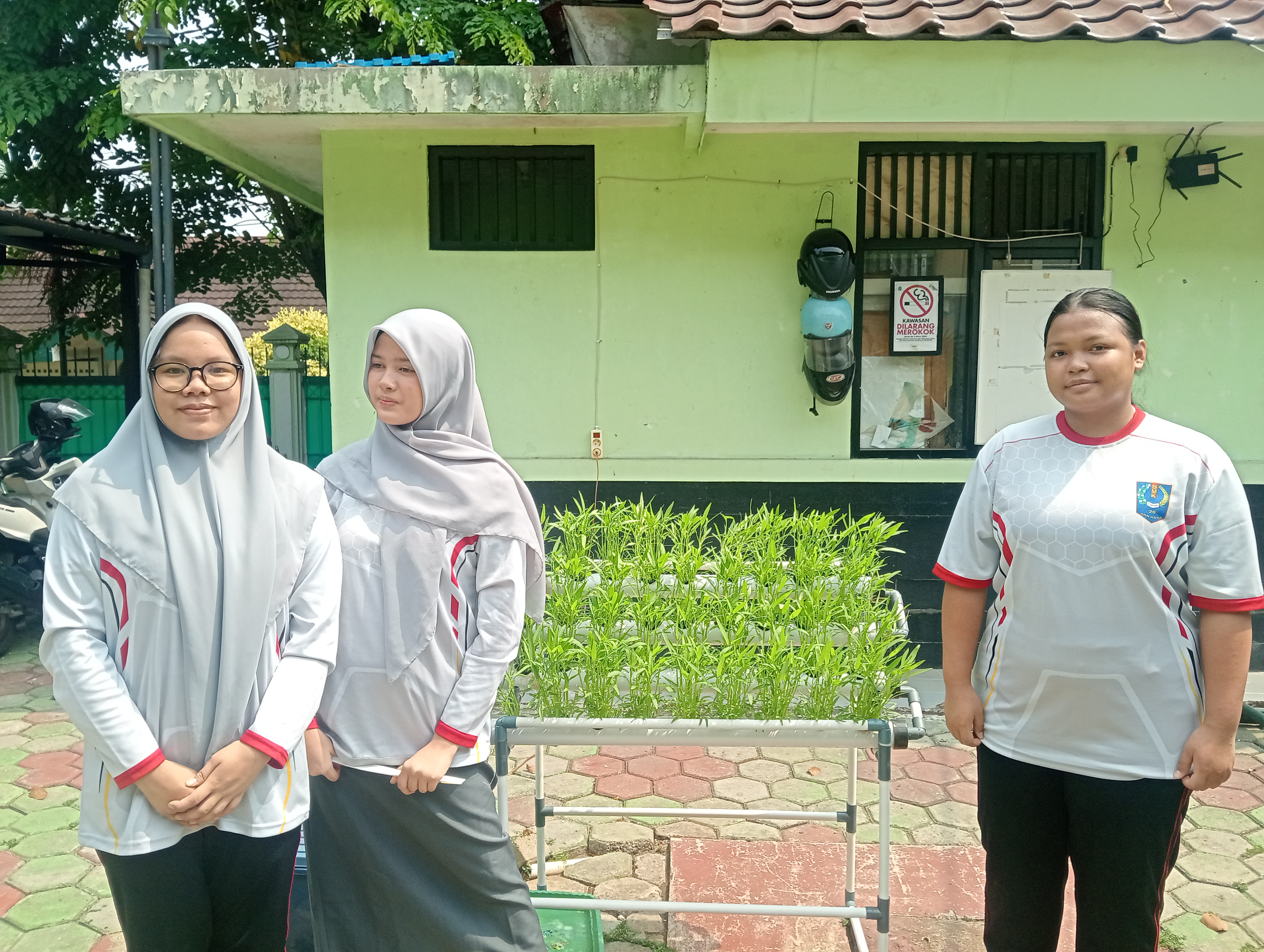 Lahan Urban Farming SMKN 20 Jakarta - Gambar 25